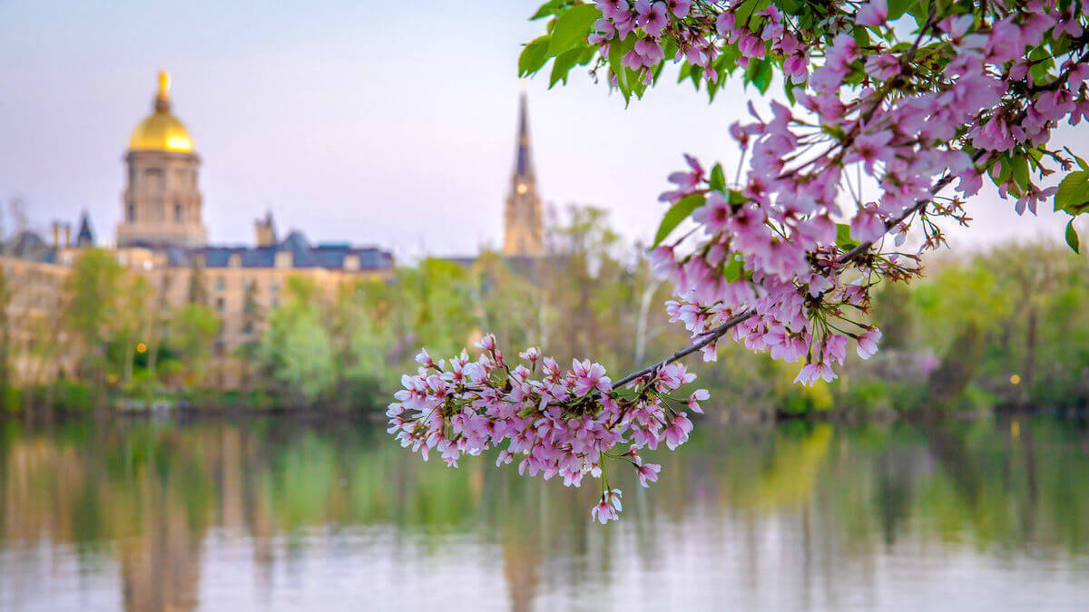 Featured image for “Notre Dame theologian helps guide Indiana bishops’ call to care for creation”